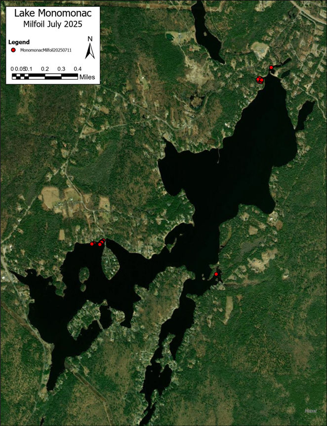 MonomonacMilfoil2025LakeMap